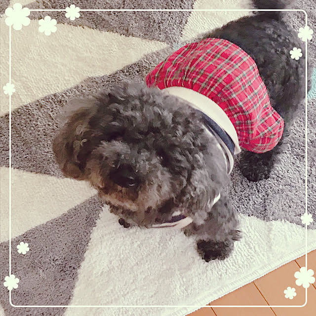 makkoさんの実例写真