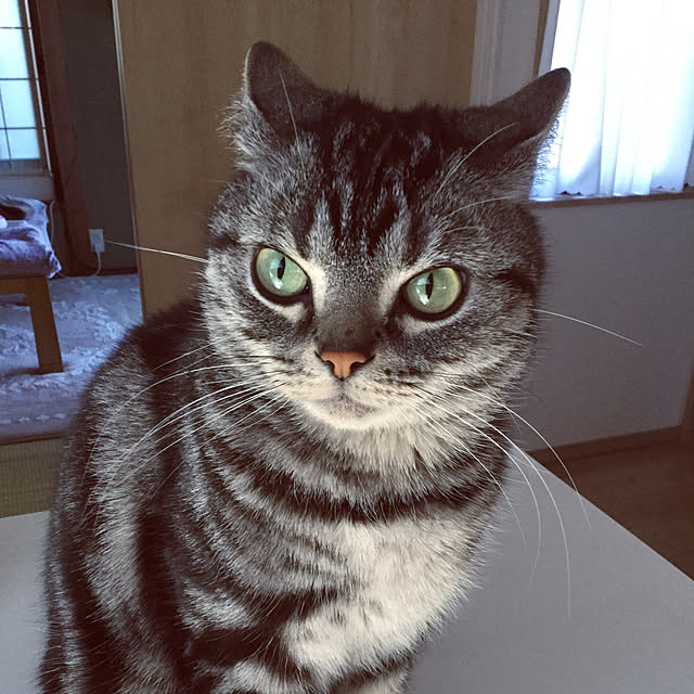 richanさんの実例写真