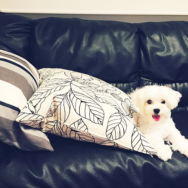 relaxsunさんの実例写真