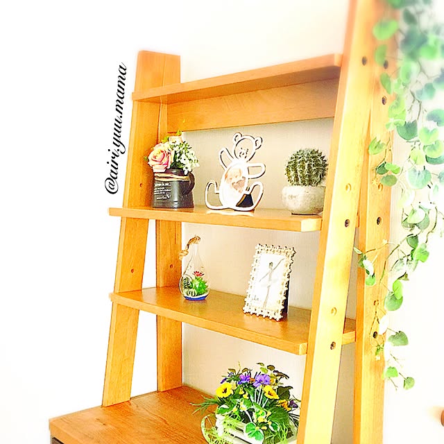 棚/フェイクグリーン/DIY/観葉植物/雑貨...などのインテリア実例 - 2017-01-23 21:54:52
