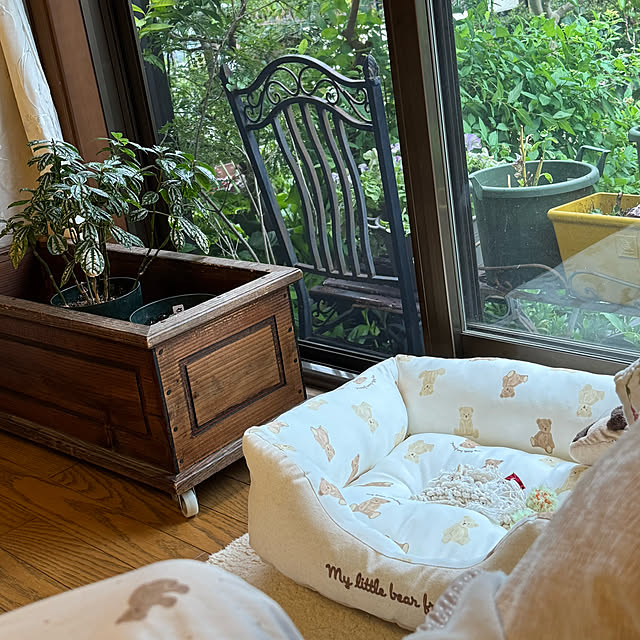 mamizaさんの実例写真