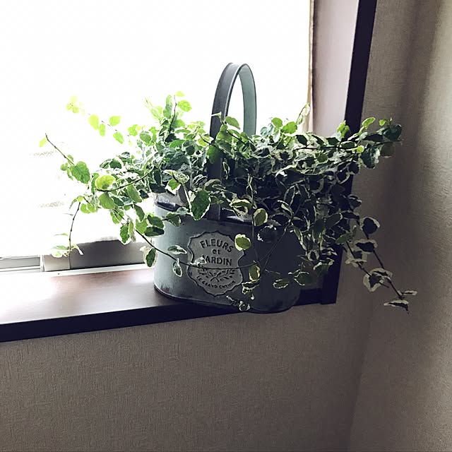 mizuさんの実例写真
