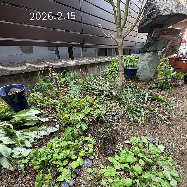 buchiさんの実例写真