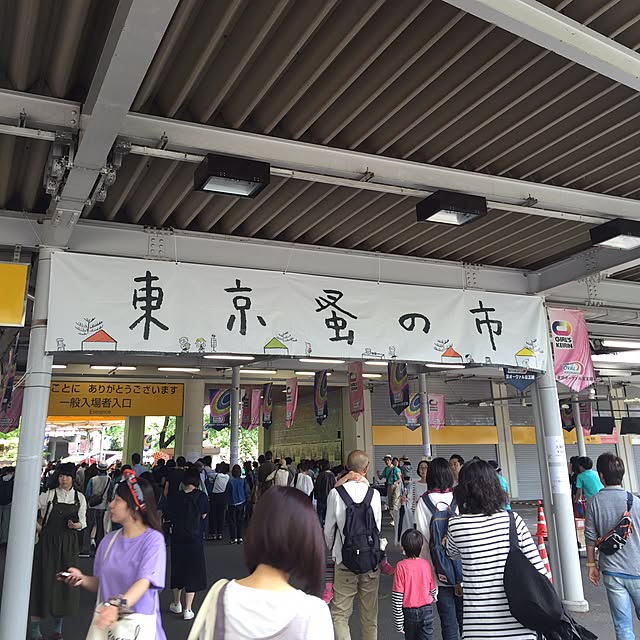 実例写真
