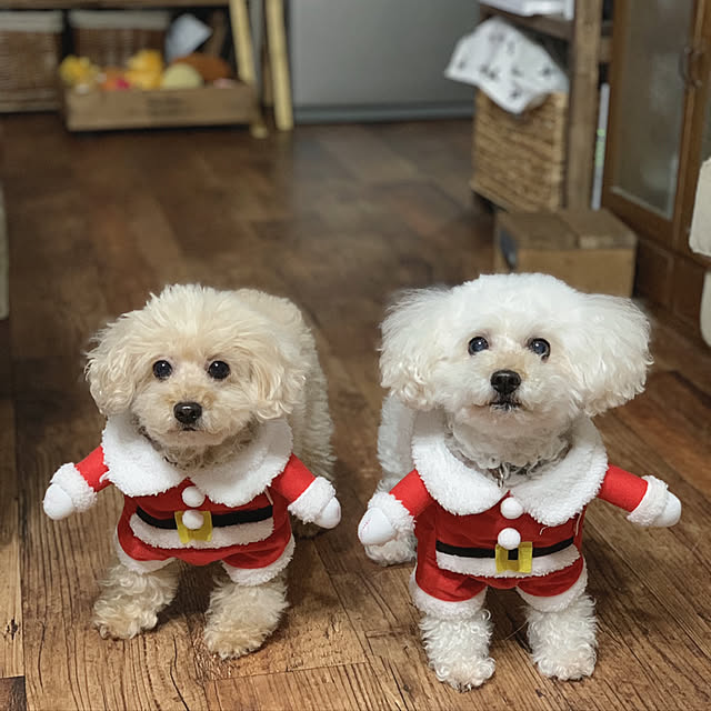 akko1205さんの実例写真