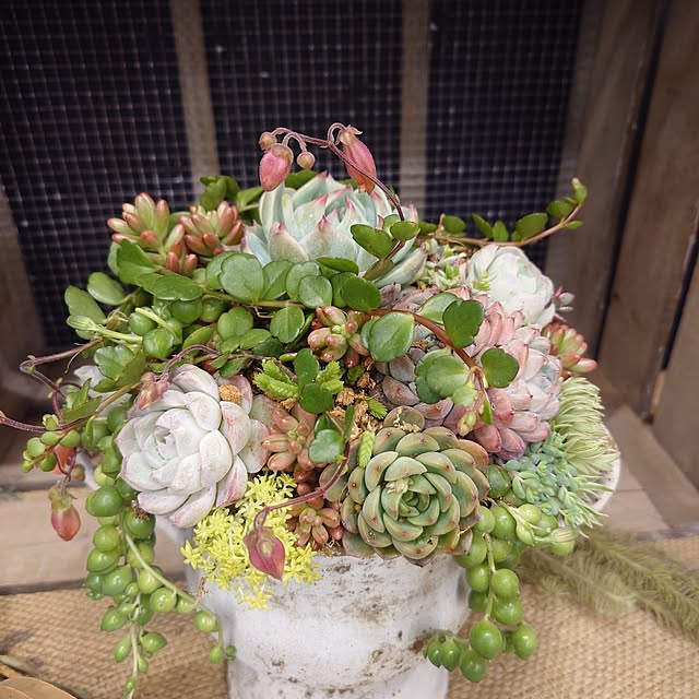 mayuroseさんの部屋