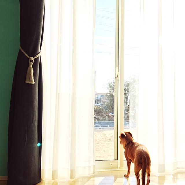 Yukoさんの実例写真