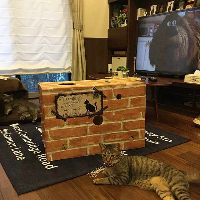 chikaさんの実例写真