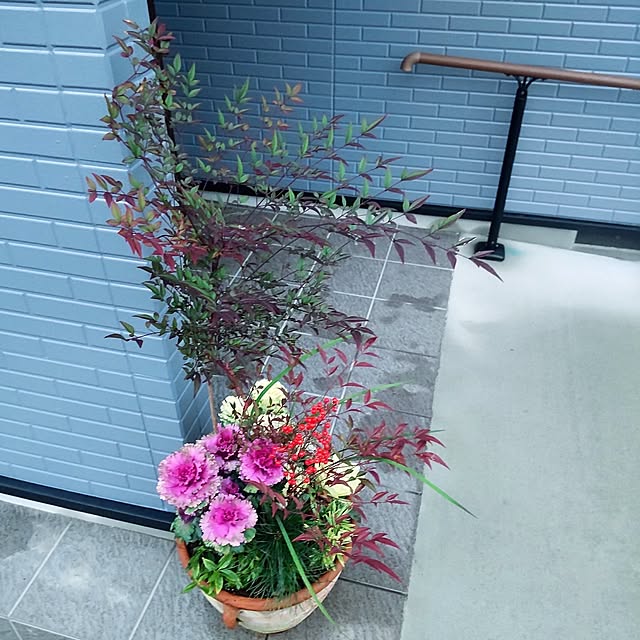 NSDさんの実例写真