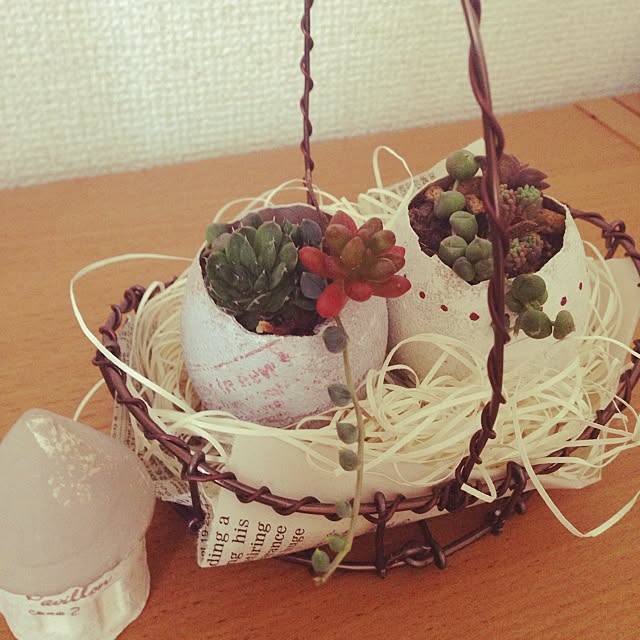betakumaさんの実例写真