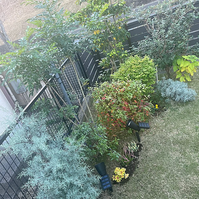 halu8686さんの実例写真