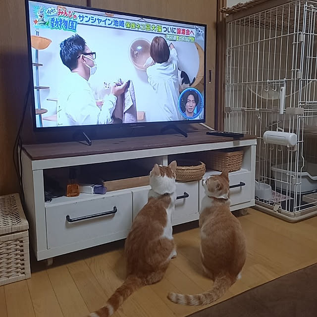 rumi.rumiさんの実例写真
