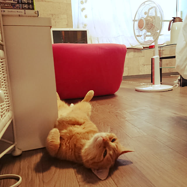 asuminさんの実例写真
