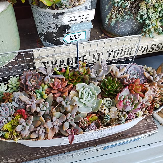 yasue.ichnoさんの実例写真