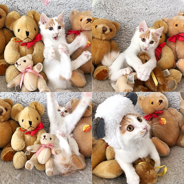 yuchiさんの実例写真