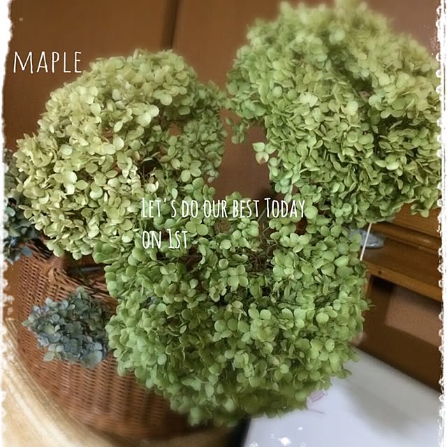 mapleさんの実例写真