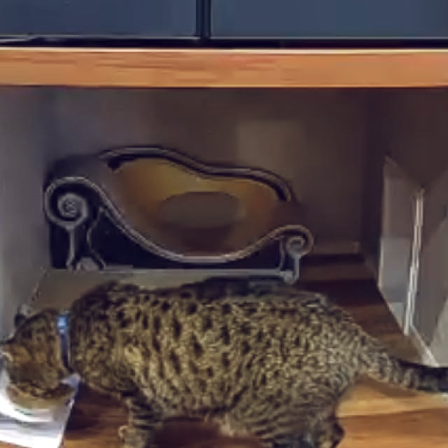 Azさんの実例写真