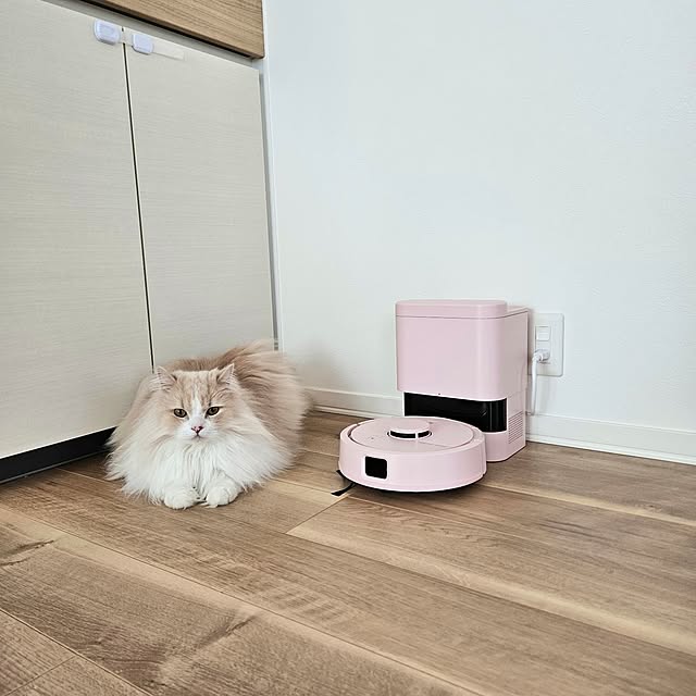 annyaさんの実例写真
