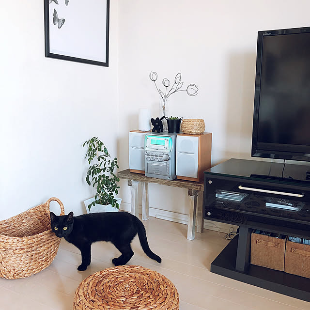 nekomiさんの実例写真