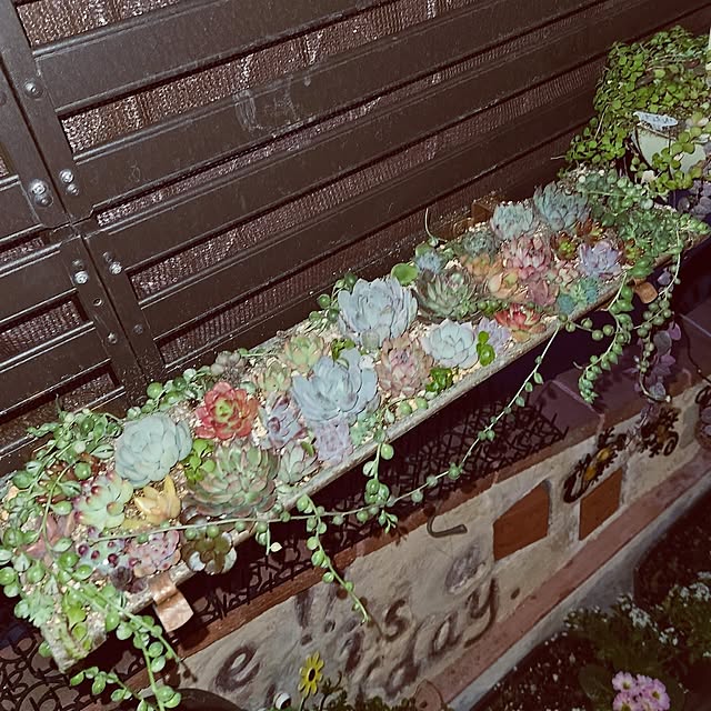 mocomocoさんの部屋