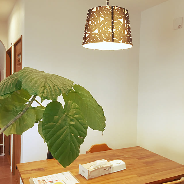 机/ウニコダイニングテーブル/観葉植物/照明/IKEA...などのインテリア実例 - 2019-04-27 21:28:23