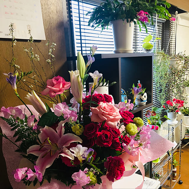 eika.kawaさんの部屋