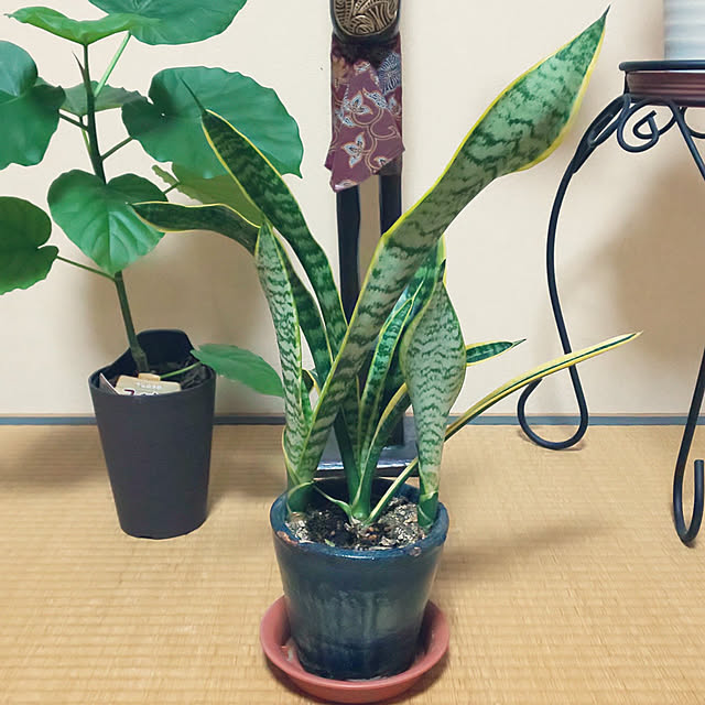 yumiyumiさんの実例写真