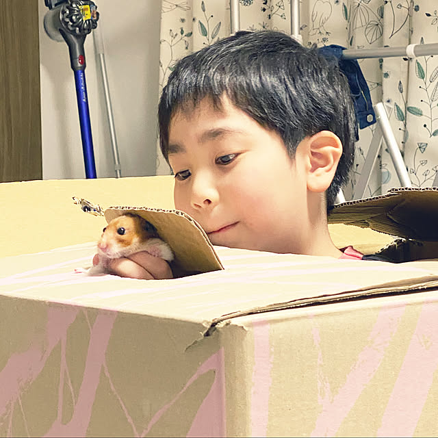 ohanaさんの実例写真