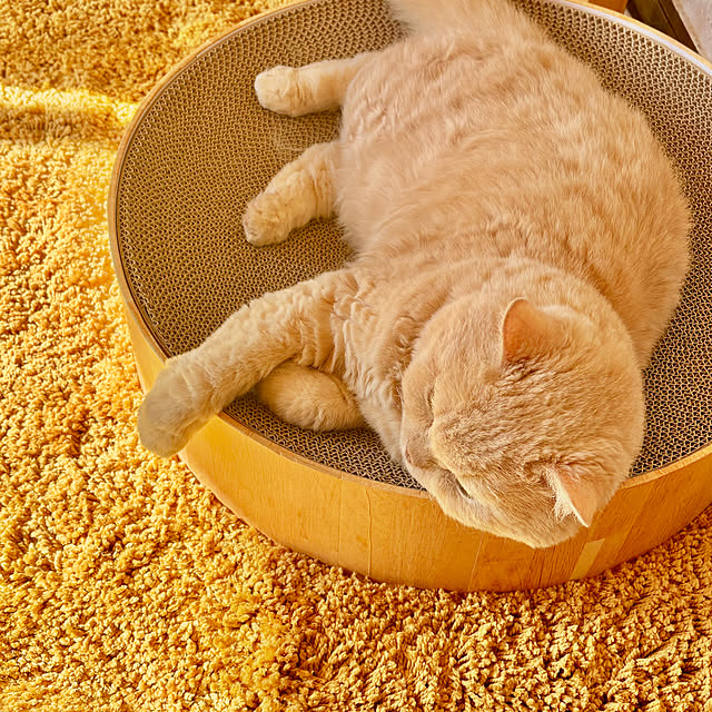 naokoさんの部屋