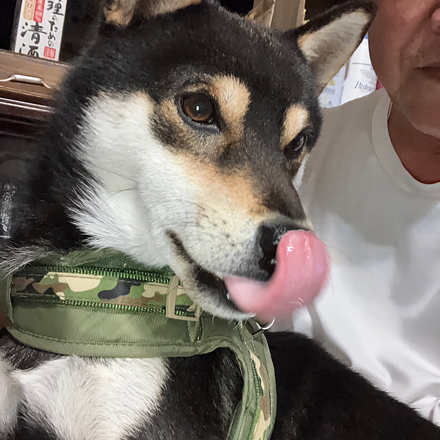 Toruさんの部屋