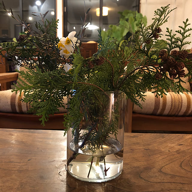 リビング/季節を楽しむ暮らし/庭の花のインテリア実例 - 2026-01-11 21:57:05