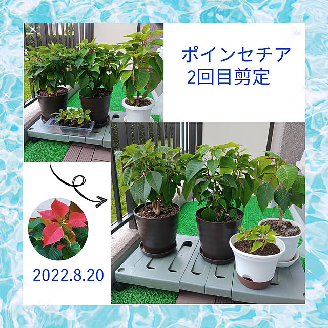 love1017さんの実例写真