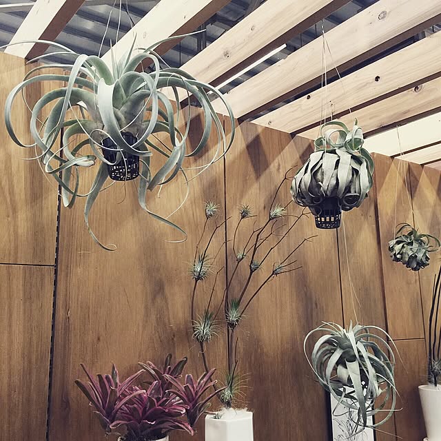 Junk_sweet_Garden_teftefさんの実例写真