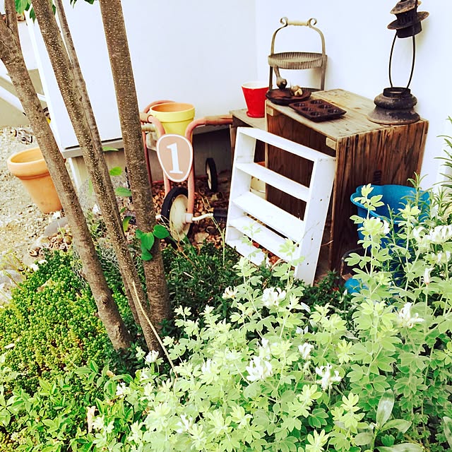 studio-bloomさんの実例写真