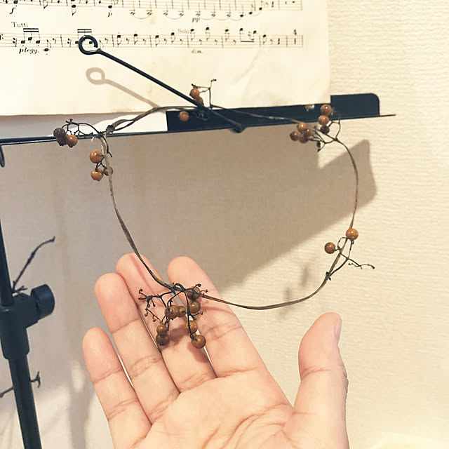 Satokoさんの実例写真