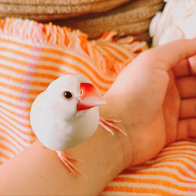 Ursulaさんの部屋
