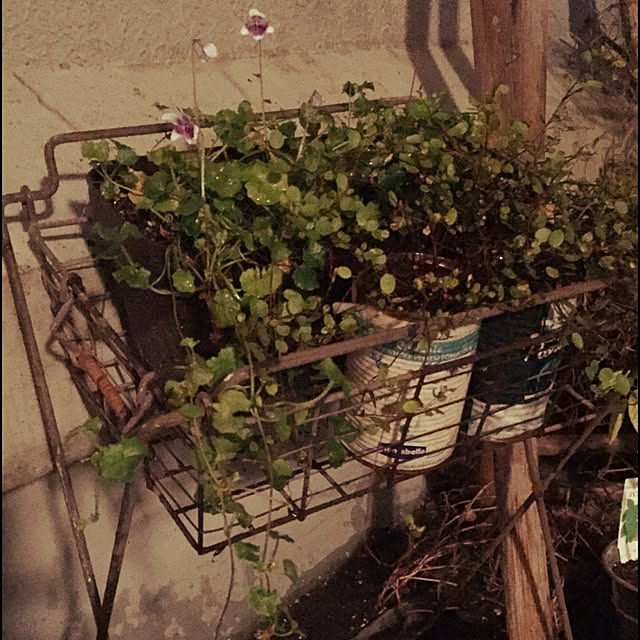 Kenichiさんの実例写真