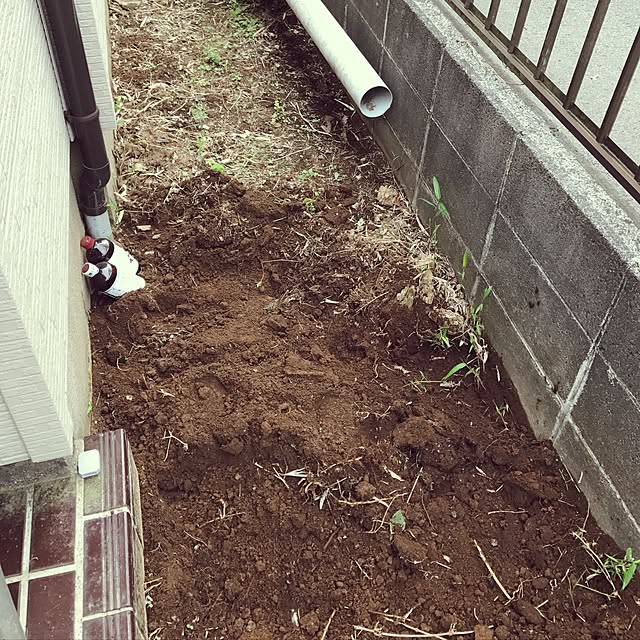 FUKU29さんの実例写真