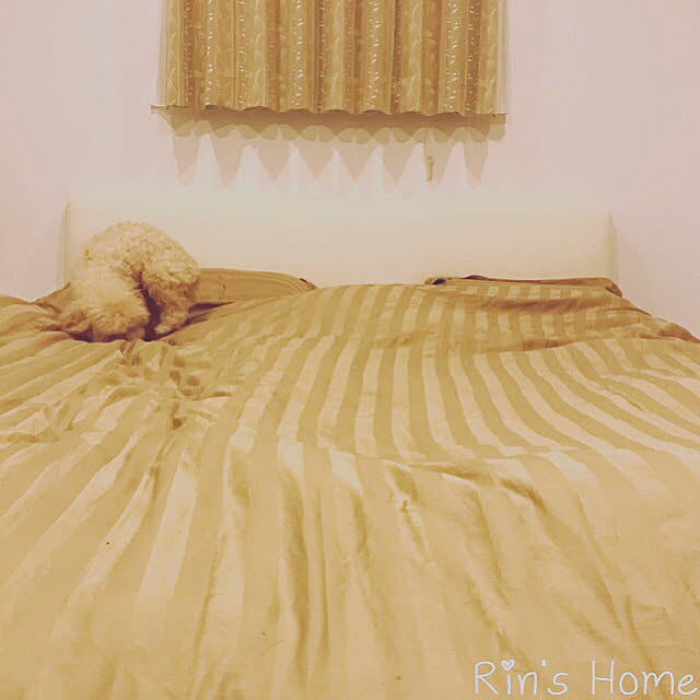 Rinさんの実例写真