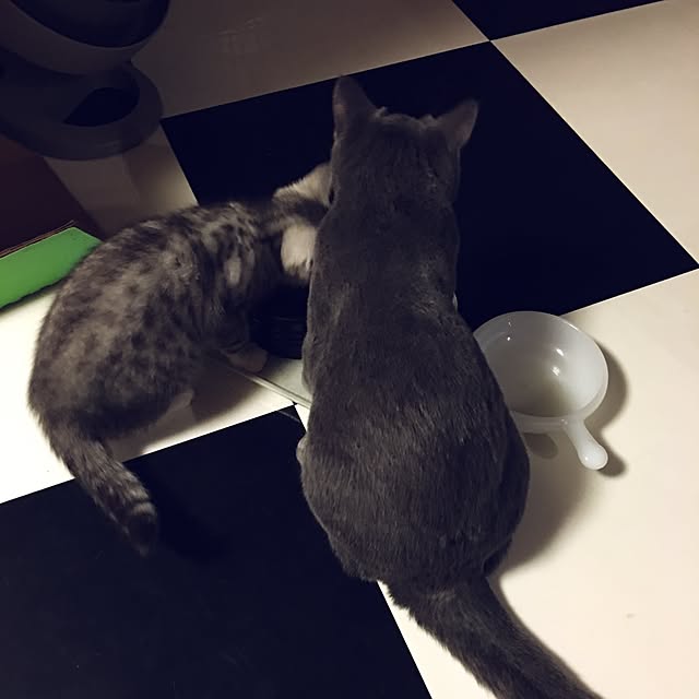 Shojiさんの実例写真