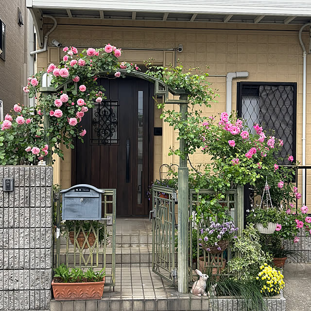 sakuraさんの実例写真