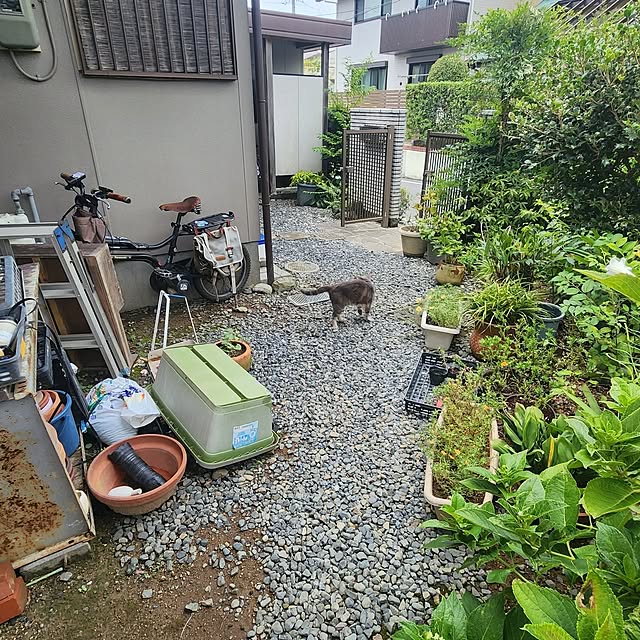 fuchan0930さんの部屋