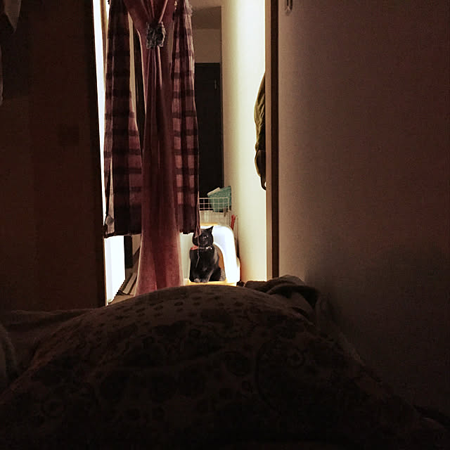 nanaさんの実例写真