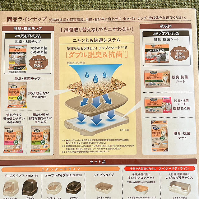 moolさんの部屋