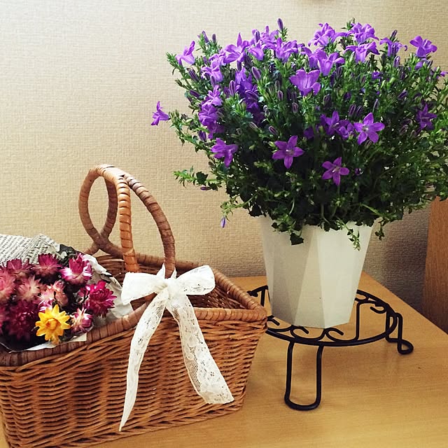 maitake.h.Rさんの実例写真