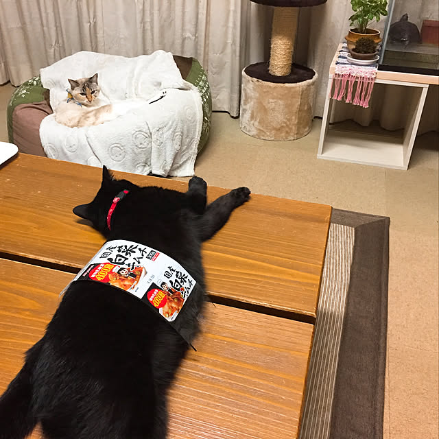 nanaさんの実例写真