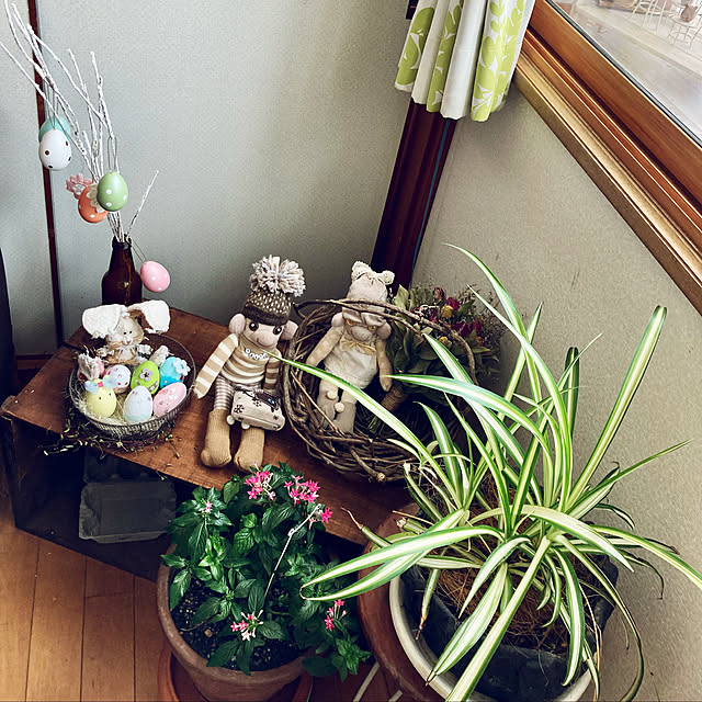 CoCo0617さんの実例写真