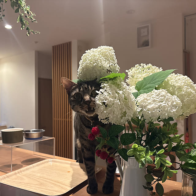 mさんの実例写真