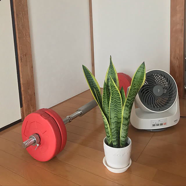 masaさんの実例写真