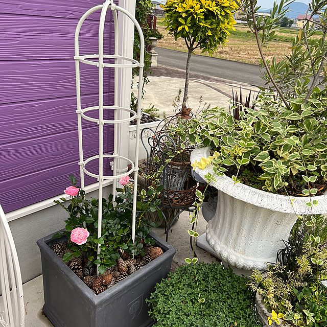 AYUKOさんの実例写真